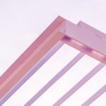 Tell Walmart Brazil to Stop Selling Eggs from Confined Hens